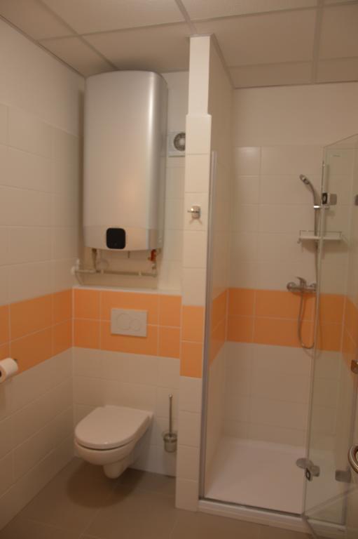 Penzion Havelka Apartmany Železná Ruda Екстериор снимка